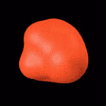 Author profile picture